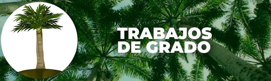 Logotipo de la comunidad